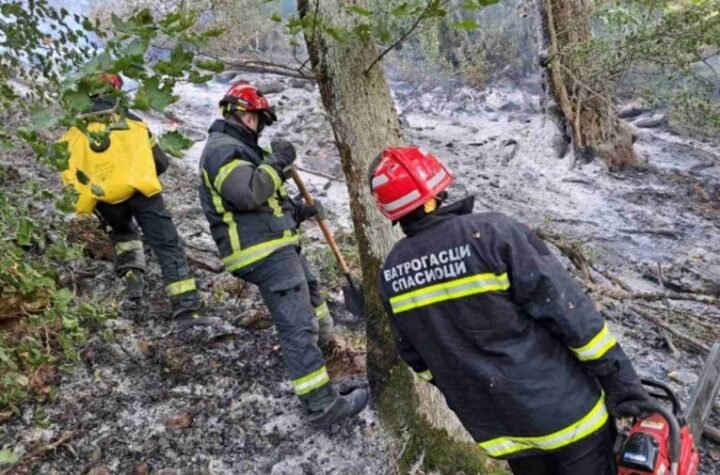 VATROGASCI IZ NIŠA I PIROTA ZASLUŽNI ZA UGAŠEN POŽAR: Istraga će utvrditi da li je vatra podmetnuta!