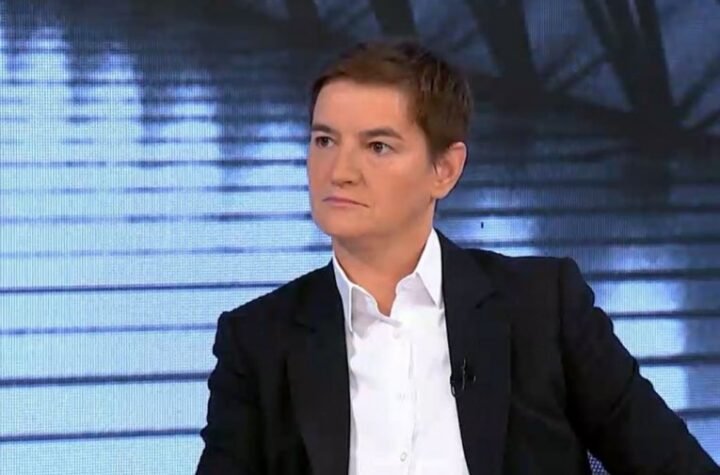 BRNABIĆ OPET ARGUMENTIMA POTUKLA OPOZICIONARE:  "Ekonomska analiza"  o projektu "Jadar" puna laži!