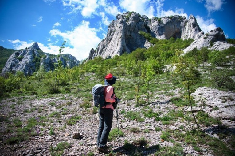 NEVEROVATNA SREĆA! Nakon šest dana pronađena žena nestala na planini, PREŽIVELA I UGRIZ ZMIJE (FOTO)