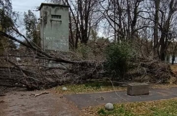 VETAR ČUPAO DRVEĆE U NASELJU JAŠE TOMIĆ! Olujni udari, celo mesto bez struje! (FOTO)