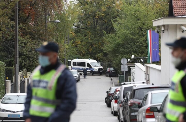 HIT KRAĐA U HRVATSKOJ: Uhapšen muškarac, svi se pitaju šta će mu ukradeni predmet!