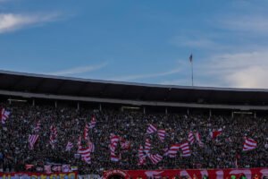 Pravo niotkuda - Crvena zvezda dovela pojačanje iz Australije (Foto)