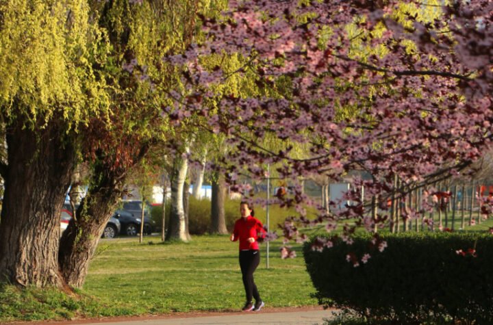 NEVEROVATNA TEMPERATURA ZA POČETAK MARTA! Danas ćemo se "kuvati", a onda nam stiže KIŠA!