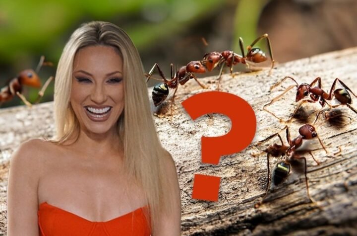 STAVITE PRST NA ČELO PRE ČITANJA OVOG PITANJA! Rada Manojlović zbunila fanove objavom o MRAVIMA! (FOTO)