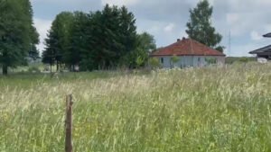 U SRBIJI JE JEDNO MESTO SVE POPULARNIJE! Odlična hrana i predivna priroda privlače i strane turiste