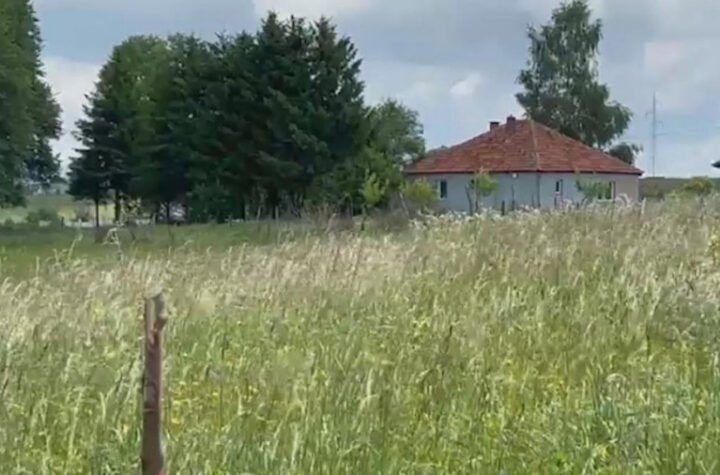U SRBIJI JE JEDNO MESTO SVE POPULARNIJE! Odlična hrana i predivna priroda privlače i strane turiste