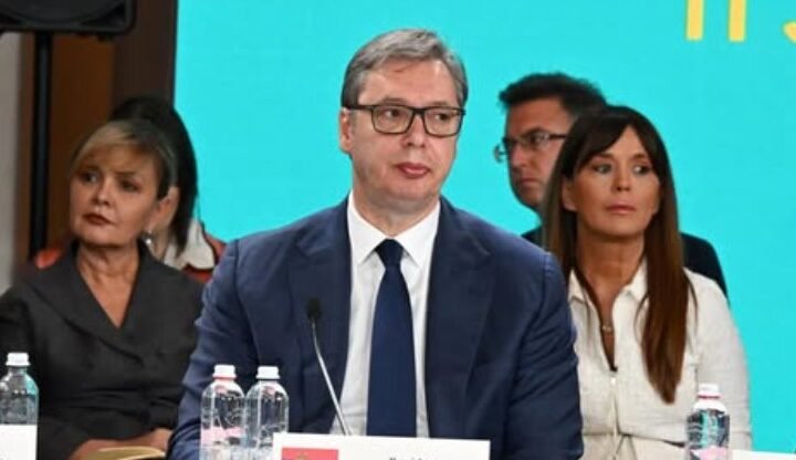 'SNAŽNO SAM SE ZALOŽIO DA SE GLAS DIPLOMATIJE ŠTO GLASNIJE ČUJE' Vučić se oglasio nakon samita Ukrajina - Jugoistočna Evropa: Samo od nas zavisi kakvu