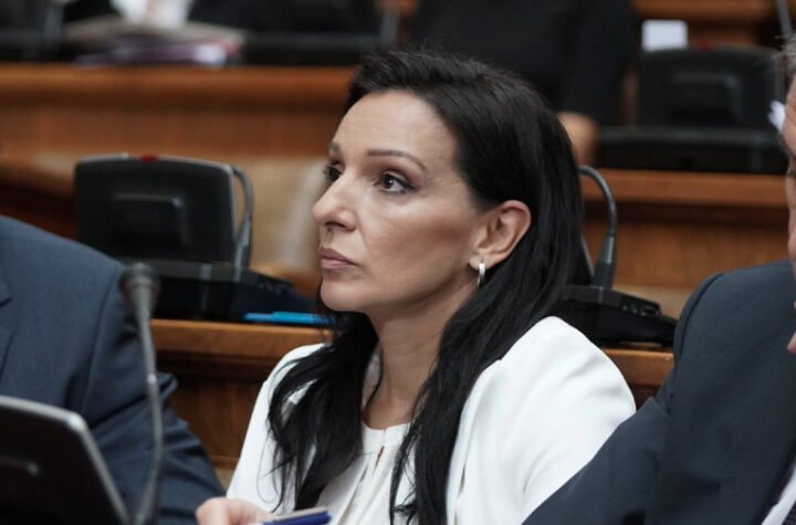 TUŽILAŠTVO HITNO DA REAGUJE! Razmontirana Marinikina laž o povezanosti Vučića i narko kartela - NEKO MORA DA ODGOVARA!