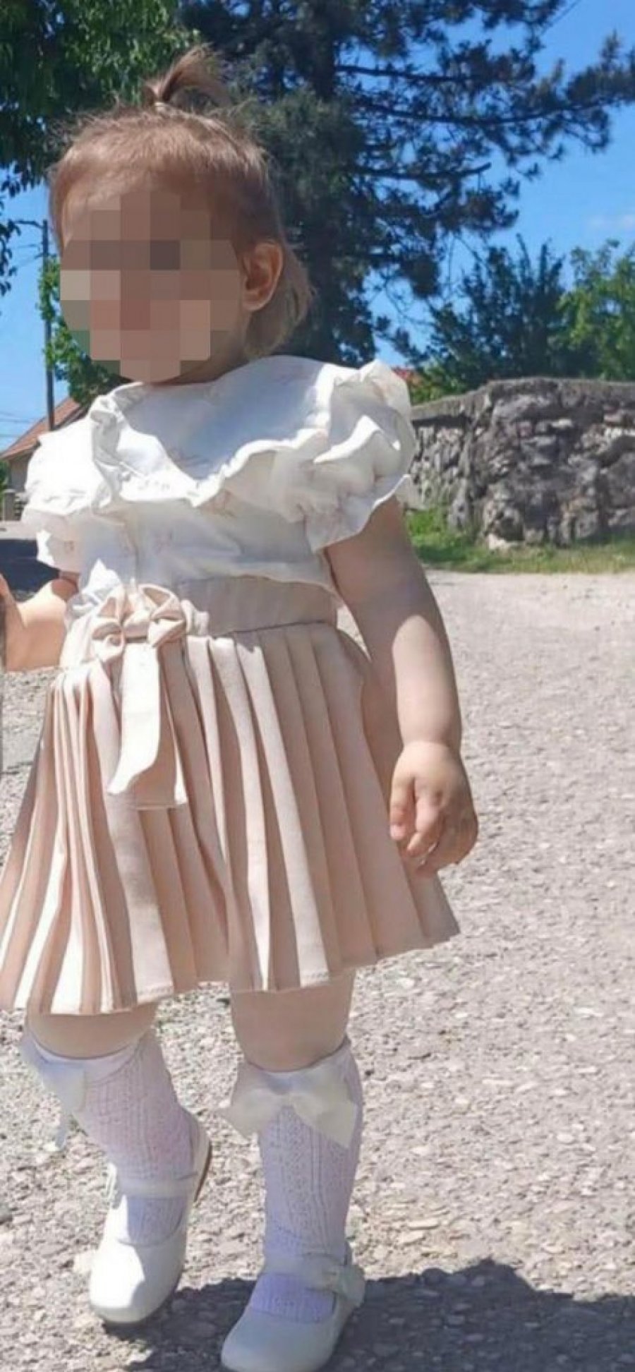 DETE (2) RAZNEO PUŠKOM! Monstrum iz Nikšića u dvorištu napravio pokolj: Svi detalji STRAVIČNOG ZLOČINA!