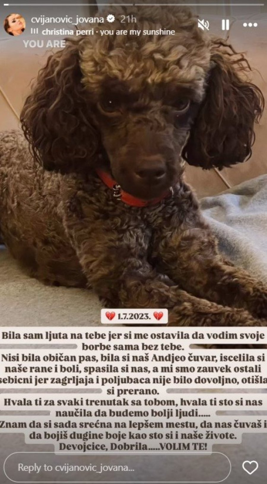 "DRAGA DEVOJČICE, OTIŠLA SI PRERANO..." Jovanu razdire bol, SRCE JOJ JE SLOMLJENO - u suzama se oprostila rečima koje KIDAJU DUŠU!