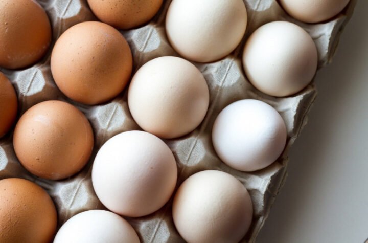 HITNO SE POVLAČE JAJA OVOG PROIZVOĐAČA SA TRŽIŠTA! Sumnja se da sadrže SALMONELU!