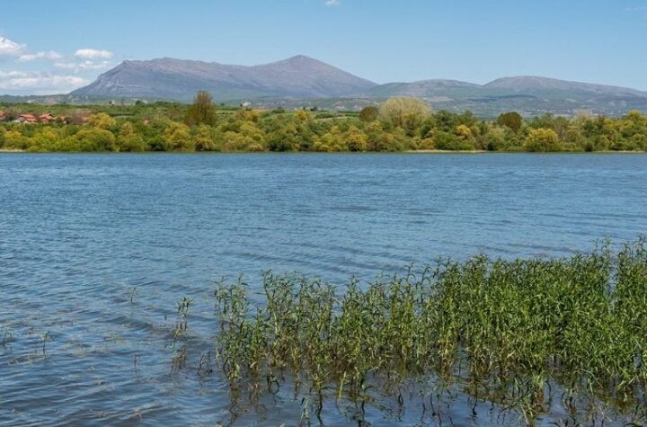 MILAN U BOVANSKOM JEZERU UPECAO NEMAN OD 55 KILOGRAMA! Nije mogao da veruje svojim očima u šta gleda!