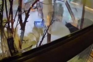 Oluja pokidala tendu i sravnila celu baštu, kao od šale: Stravičan snimak nevremena kruži Srbijom, evo iz kog grada