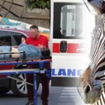 PANIKA U BEOGRADSKOM ZOO VRTU! Zebra pobegla iz kaveza, pa povredila čoveka i DETE