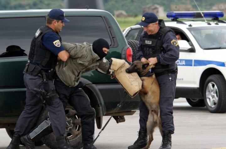POLICAJAC UBIJEN ISPRED PORODIČNE KUĆE! Ubica pregazio traktorom Branimira, telo mu vezao lancima, pa ga vukao do šume! ONO ŠTO JE USLEDILO UZDRMALO JE ČITAV REGION!