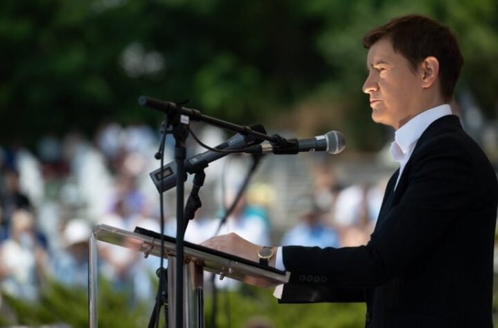 "TUKAO JE POLICAJCE - PUSTILI SU GA NA SLOBODU" Brnabić traži intervenciju tužilaštva!