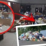 UPRAVA UČINILA USLUGU BLOKADERIMA! Gomile smeća izbačene iz Visoke zdravstvene škole u Zemunu - BILI NA KORAK DO ZARAZE! (FOTO)