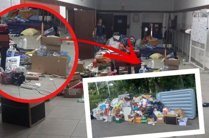 UPRAVA UČINILA USLUGU BLOKADERIMA! Gomile smeća izbačene iz Visoke zdravstvene škole u Zemunu - BILI NA KORAK DO ZARAZE! (FOTO)