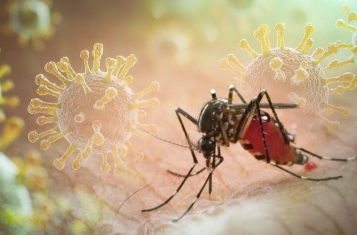 VIRUS ZAPADNOG NILA POTVRĐEN U SRBIJI! Evo šta sve morate zbnati o ovoj zarazi i KAKO DA SE ZAŠTITITE