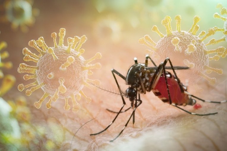 VIRUS ZAPADNOG NILA POTVRĐEN U SRBIJI! Evo šta sve morate zbnati o ovoj zarazi i KAKO DA SE ZAŠTITITE