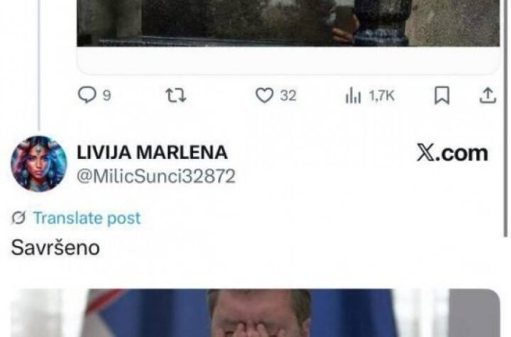 OVO JE PREŠLO SVAKU GRANICU! Blokaderi priželjkuju SMRT predsednika Vučića - objavili sramotnu fotografiju!