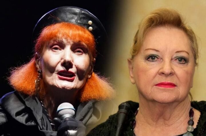 OVO SU BILE POSLEDNJE REČI GABI NOVAK! Josipa Lisac otkrila BOLNU ISTINU: "Trebalo je da se sastanemo u podne...."