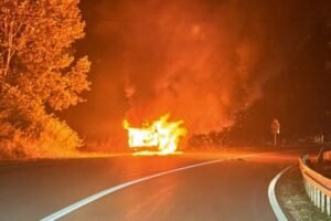 POŽAR U PREDGRAĐU PRESTONICE: Blokiran saobraćaj, opšti haos