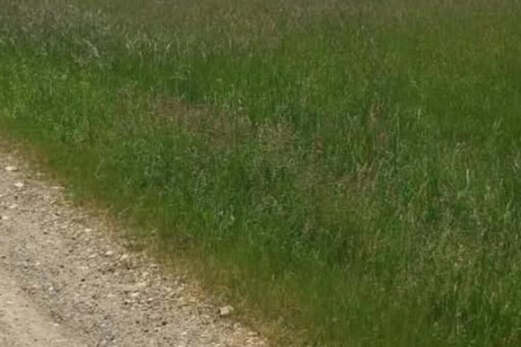 Plaćeni smeštaj i hrana, radnici imaju čistu zaradu: Za ovim poslom sve veća potražnja, država daje ovo besplatno!