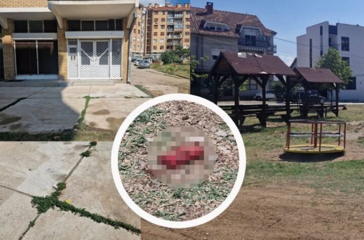"BIO JE TU KOD NAS I ODJEDNOM GA NEMA VIŠE"! Ispovest neutešne bake ubijenog Darka iz Niša: Čuli smo da je upucan u stomak, u glavu…