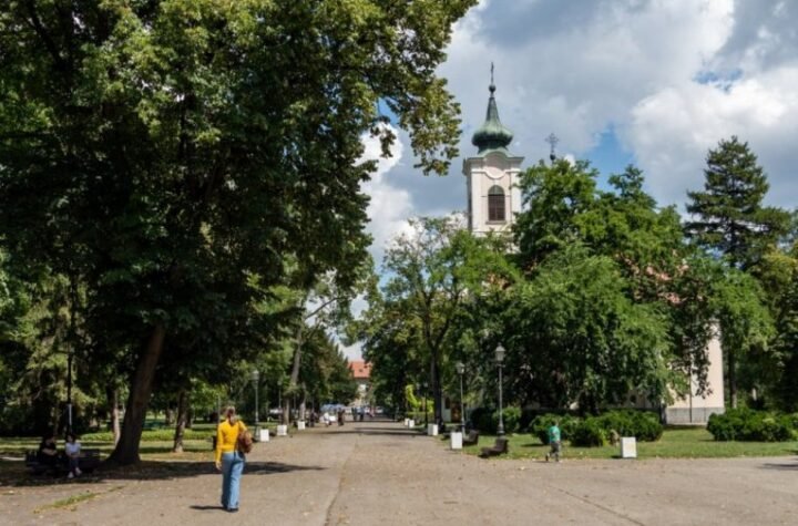 OVO JE NAJLEPŠA FOTOGRAFIJA IZ SRBIJE KOJU ĆETE DANAS VIDETI: Ovo što se svakodnevno dešava u zemunskom parkiću nema cenu, JEDNA MAJKA OBJASNILA ZBOG ČEGA (FOTO)