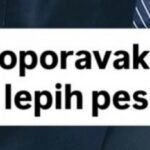 SLOBA RADANOVIĆ SLOMLJEN OD BOLA! Vest o Halidu Bešliću ga potpuno dotukla!