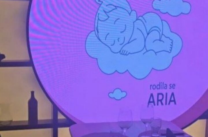 ZVANICE PRISTIŽU NA SLAVLJE ŽIVOJINOVIĆA! Čitav restoran u znaku male Arije - ROZE MAGIJA ZA MALU PRINCEZU!