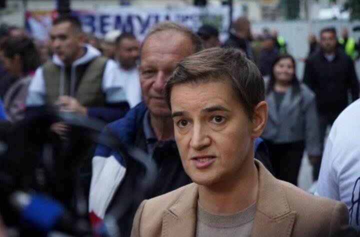 BRNABIĆ RASTURILA BLOKADERE BUNDESTAGU: "Imali su prvi put priliku da čuju i drugu stranu"!