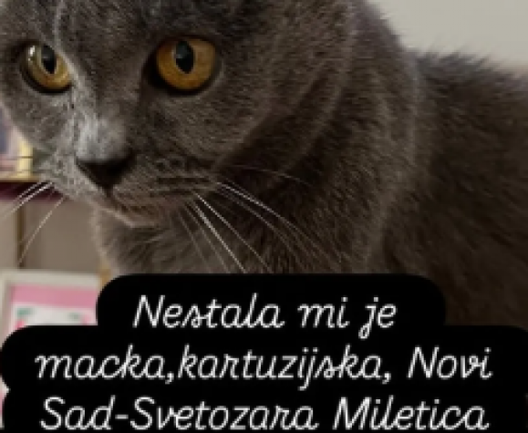 Vesti