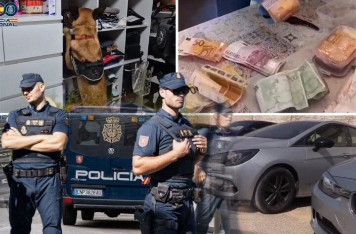 DROGA VREDNA VIŠE OD MILION DOLARA! Evo kako je deo Balkanskog kartela švercovao pola tone kokaina: Jedno hapšenje carinika OSUJETILO plan!