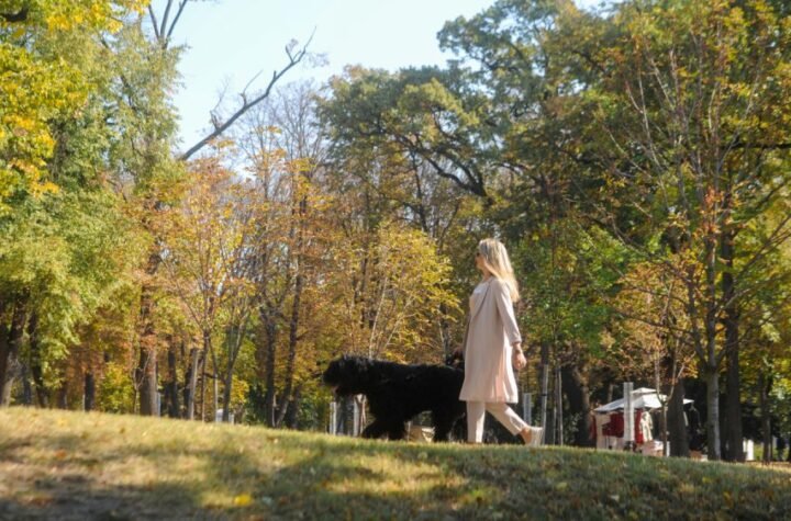 MIHOLJSKO LETO SE VRAĆA NA VELIKA VRATA! I danas veoma toplo, a evo kada stiže zahlađenje!
