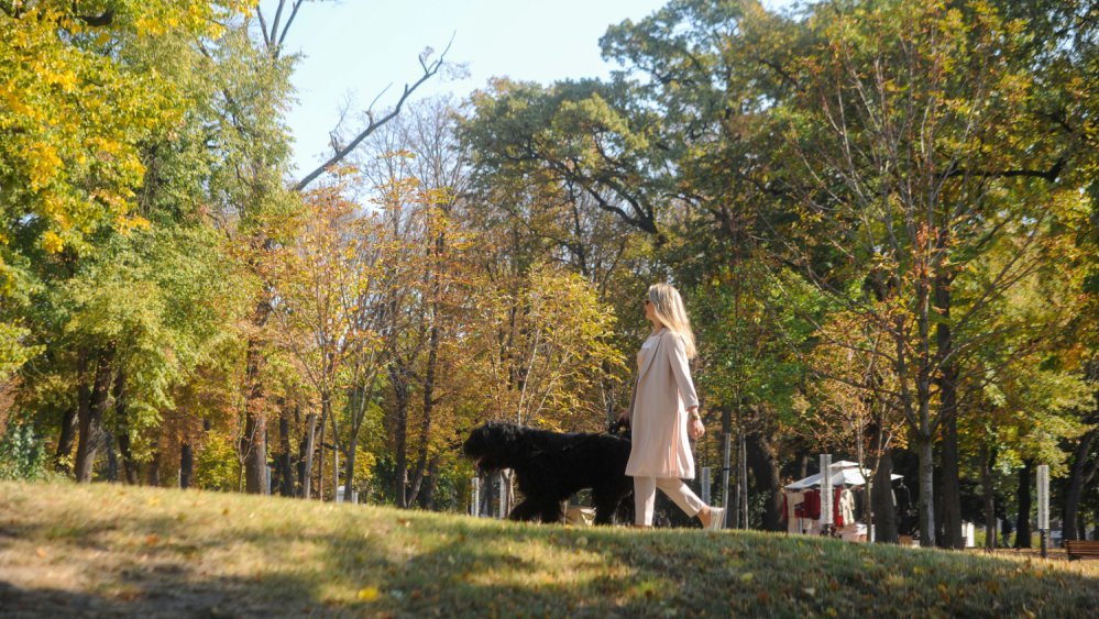 MIHOLJSKO LETO SE VRAĆA NA VELIKA VRATA! I danas veoma toplo, a evo kada stiže zahlađenje!