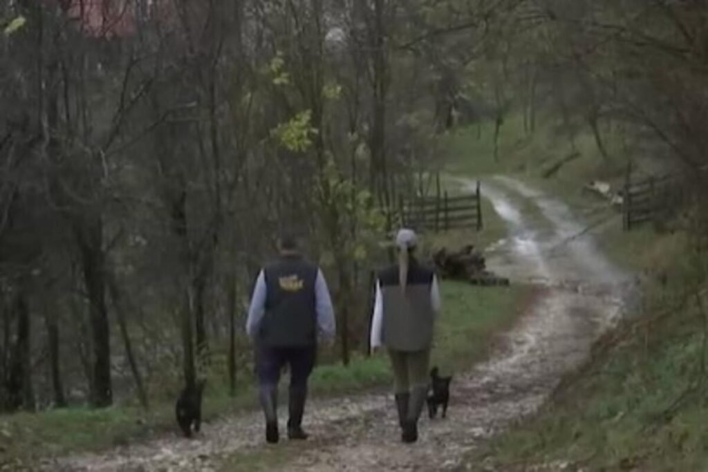 Telo planinarke nađeno na Šar-planini