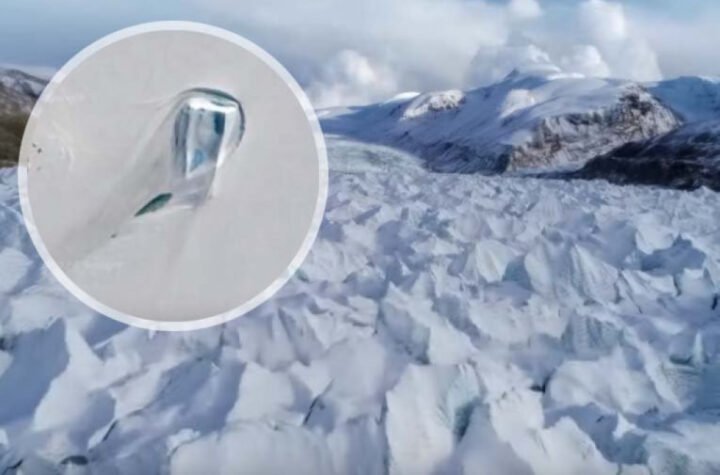 ČUDO IZ LEDA! Otkrivena najstarija RNK na svetu, mamut Juka "progovorio" posle 39.000 godina!