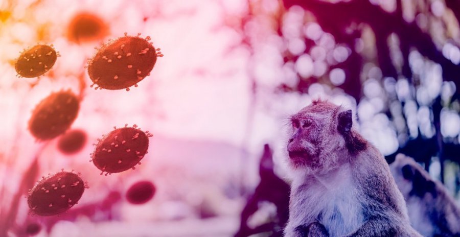 HARA SMRTONOSNI VIRUS! Primetite li OVE simptome, morate ODMAH kod lekara!