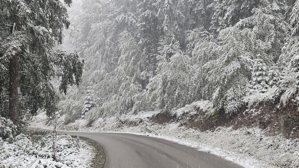 KIŠA, SUSNEŽICA I SNEG: U Srbiji danas veoma hladno, a evo kada se očekuje otopljenje