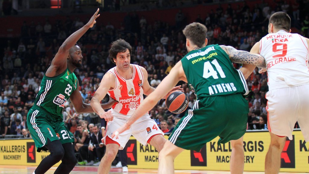 MOŽE LI ZVEZDA DO SEDME UZASTOPNE POBEDE U EVROLIGI? U Beograd stiže Panatinaikos, a evo kakve su kvote i ko je favorit!