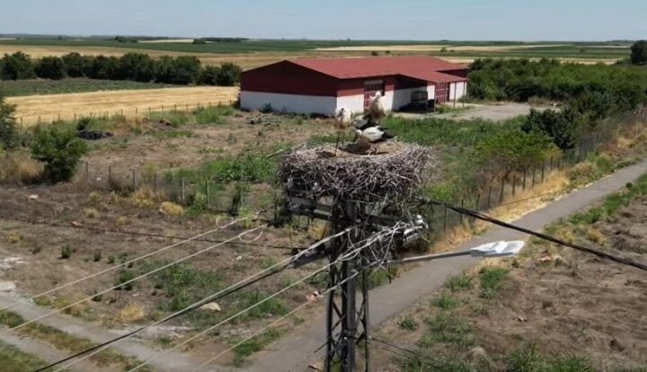 NAŠ GLUMAC VIĐEN KAKO BAULJA DROGIRAN PO PRESTONICI? Zvezda omiljenih serija POTPUNO POSRNULA, ODBIO DA KOMENTARIŠE DETALJE!