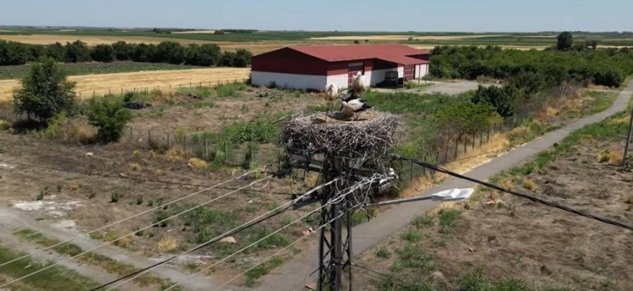 NAŠ GLUMAC VIĐEN KAKO BAULJA DROGIRAN PO PRESTONICI? Zvezda omiljenih serija POTPUNO POSRNULA, ODBIO DA KOMENTARIŠE DETALJE!