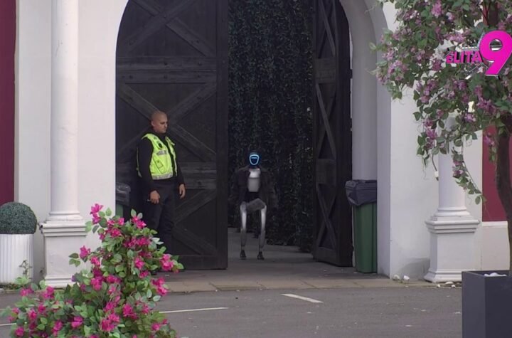 OVO SE DUGO ČEKALO! Toša stigao u Elitu, spreman da napravi SMEHOTRES!