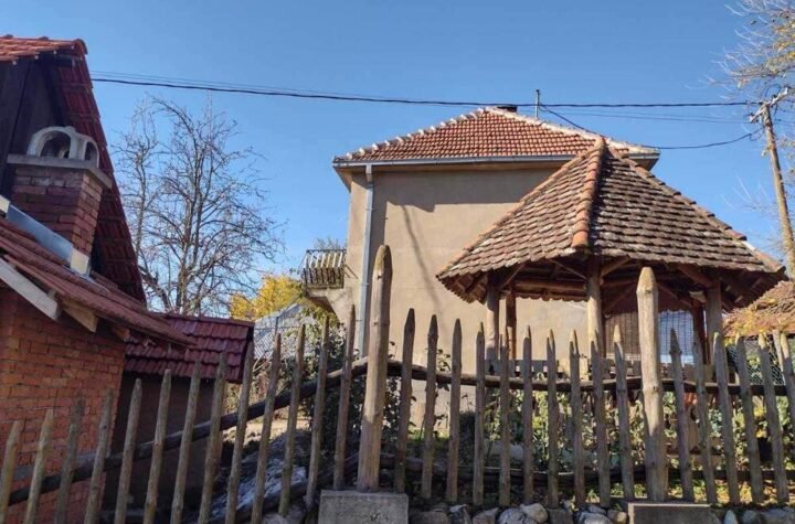 Otkriven stravičan motiv jezivih ubistava kod Babušnice: Ubio dva člana porodice Lepojević ZBOG OVOGA?