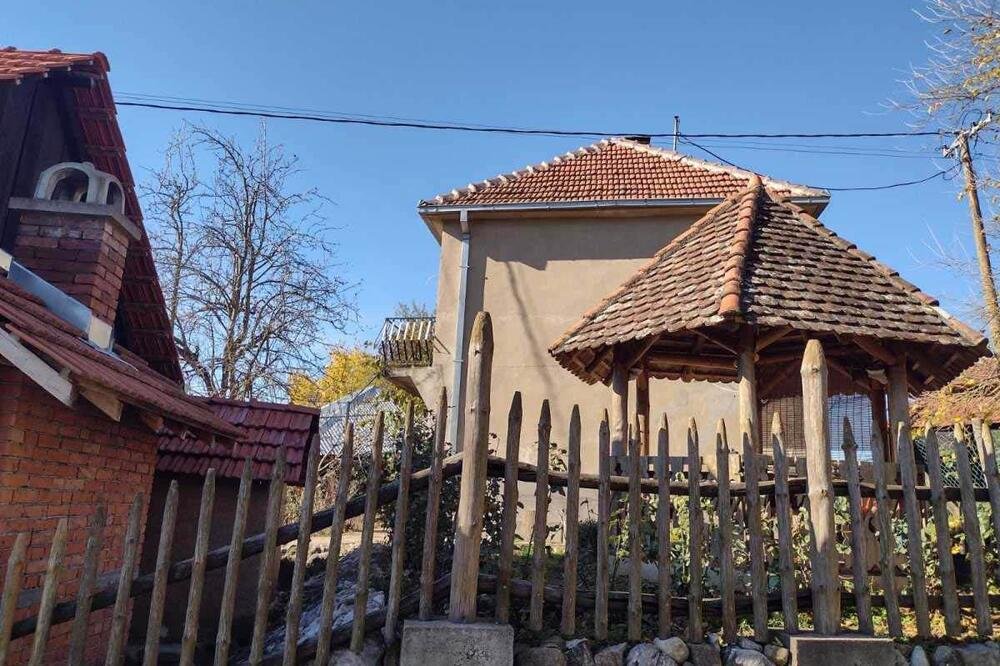 Otkriven stravičan motiv jezivih ubistava kod Babušnice: Ubio dva člana porodice Lepojević ZBOG OVOGA?