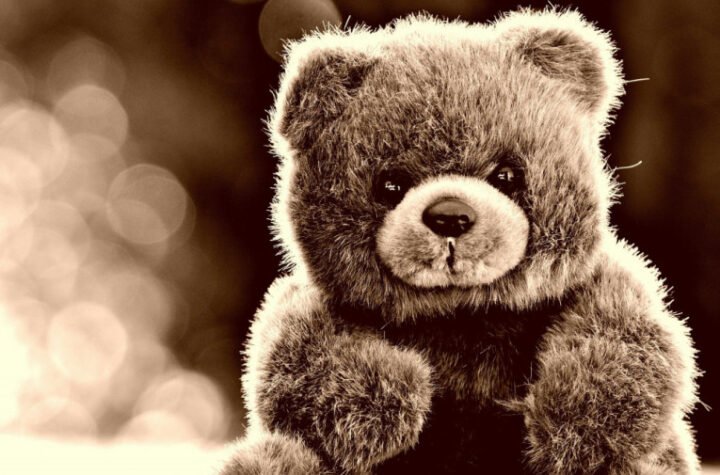 SKANDAL NA TRŽIŠTU DEČJIH IGRAČAKA: Medvedić objašnjavao deci fetiše i kako da zapale šibicu!