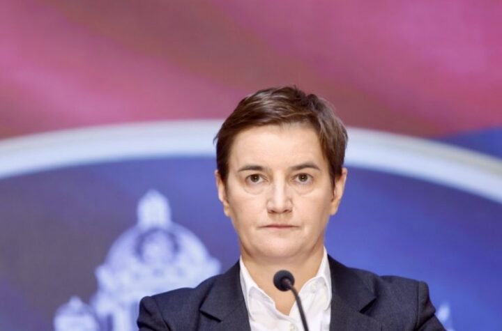 "ŠTA ON ZNA ŠTA JE EVROPSKI SAVET"! Ana Brnabić žestoko odgovorila Radomiru Lazoviću!