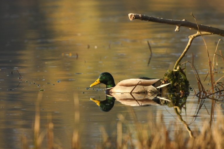 STIGLO OTOPLJENJE U SRBIJU! anas iskoristite lepo vreme, jer sutra sledi nova PROMENA VREMENA!